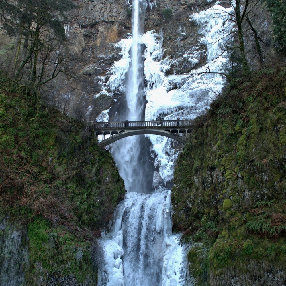 Meet your Posher, Blaire